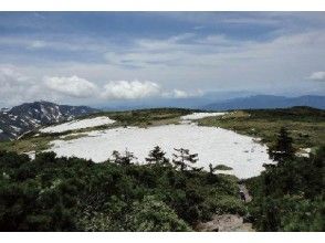 1泊2日  シーズン前　残雪とお花畑の白山に登る！　砂防新道(観光新道)～剣ヶ峰往復　避難小屋泊の画像