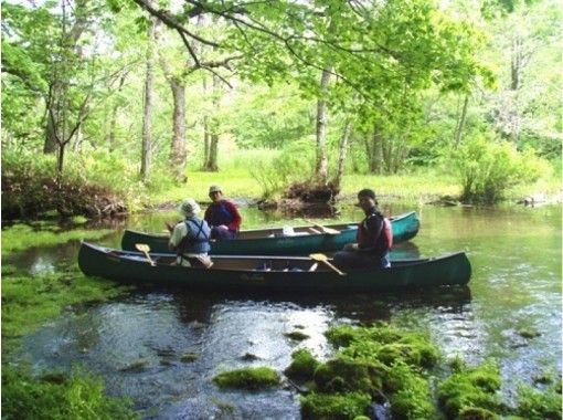 [Hokkaido ・ Kushiro River】 Enjoy nature and homemade lunch! One day canoe experience course (Kutsharo lake / Kushiro river source current course)の画像