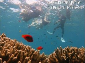 11～4月【沖縄・恩納村】ポイント独占・完全貸切 クマノミ＆巨大サンゴシュノーケリングツアー(ボートエントリー) 写真動画無料プレゼント