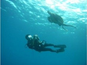 【沖縄・浦添】講習2.5日間・3泊4日で取得可能！オープンウォーターダイバーライセンス取得コース