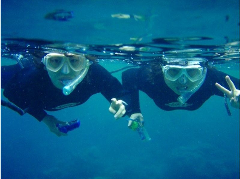 [Kagoshima-Amami Oshima briefly Umiasobi! Snorkeling experience plan (about 120 minutes)の紹介画像