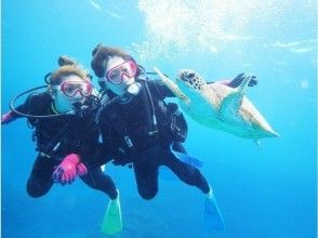 ★本島中部発★自社船で行く慶良間ボート体験２ダイブ【水中写真無料プレゼント・１名可・終日・送迎可】