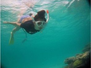 [Okinawa ・ Ishigaki island] Coral reef Snorkeling(half-day course)の画像