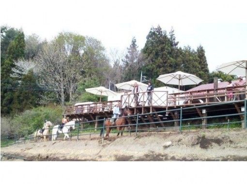 群馬県の乗馬 ホーストレッキングの予約 日本旅行 オプショナルツアー アクティビティ 遊びの体験予約