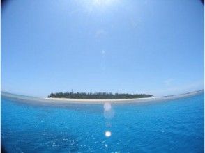 【沖縄・水納島・伊江島・瀬底島】ファンダイビング（ボートダイビングコース）