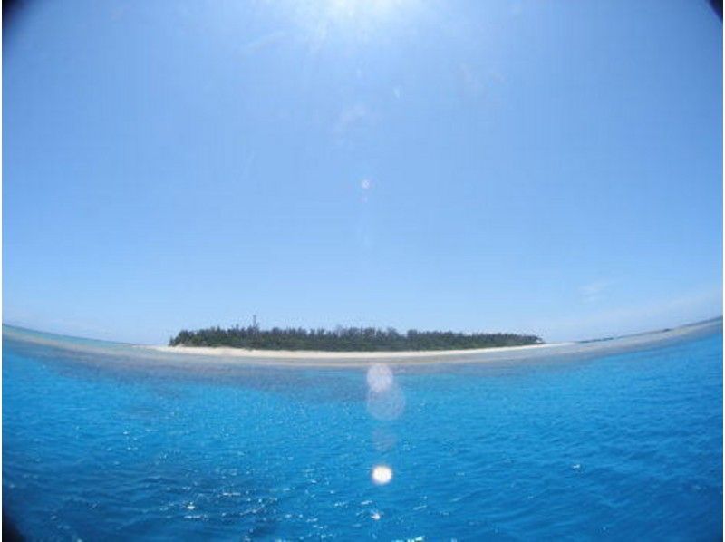 【沖縄・水納島・伊江島・瀬底島】ファンダイビング（ボートダイビングコース）