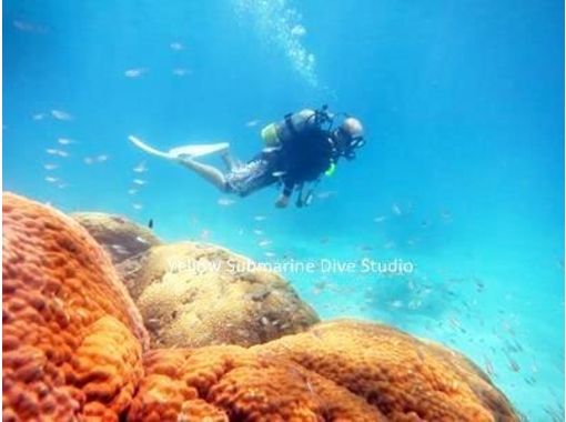 [Okinawa ・ Ishigaki island] Easy! Experience Diving(half-day course)の画像