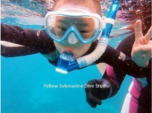 [โอกินาว่า・ เกาะอิชิงากิ】การดำน้ำตื้น(Snorkeling)ประสบการณ์ (หลักสูตรครึ่งวัน)の画像