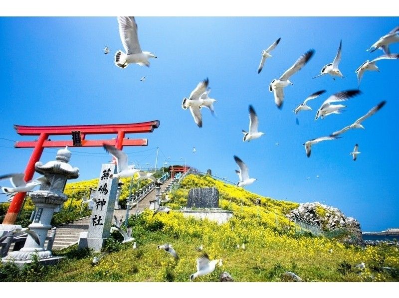 【青森・八戸】みちのく潮風トレイルゆっくりトレッキングツアー三陸復興国立公園「蕪島~種差海岸」