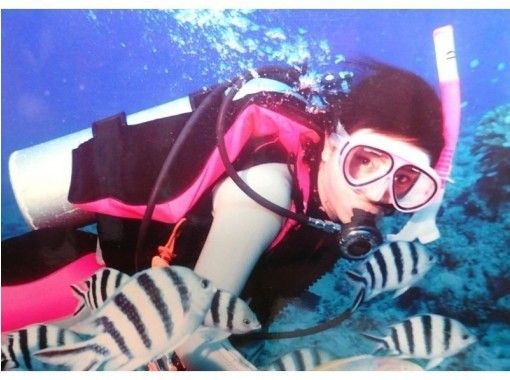 【静岡・西伊豆】安心・安全なマンツーマン指導！水中写真プレゼント！体験ダイビング（2回コース）の画像