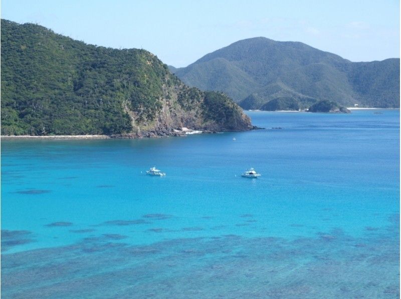 奄美大島 サンゴとヤドカリ