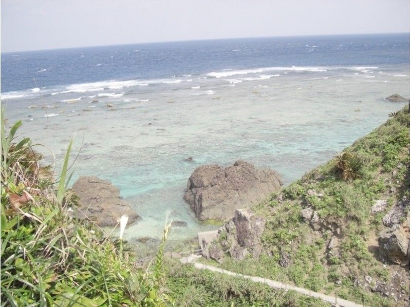 [คาโกชิมา・ Amami Oshima] Amami Oshima "ภาคเหนือ" เที่ยวชมสถานที่ท่องเที่ยวเชิงอนุรักษ์ธรรมชาติ (หลักสูตรครึ่งวัน)の紹介画像