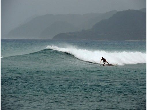 [Kagoshima ・ Amami Oshima】 SUP Surf Guide (4 hours / 4 people)の画像