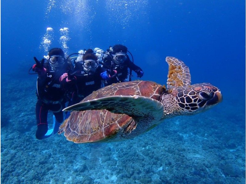 【北海道・SUP体験】透明度の高い支笏湖の湖面をクルージング！SUP体験（半日コース）の画像