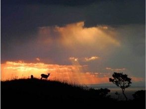 [Hokkaido / Shiretoko Five Lakes] Stroll around World Heritage Lakes 1 and 2 of (1.6km, 90 minutes)