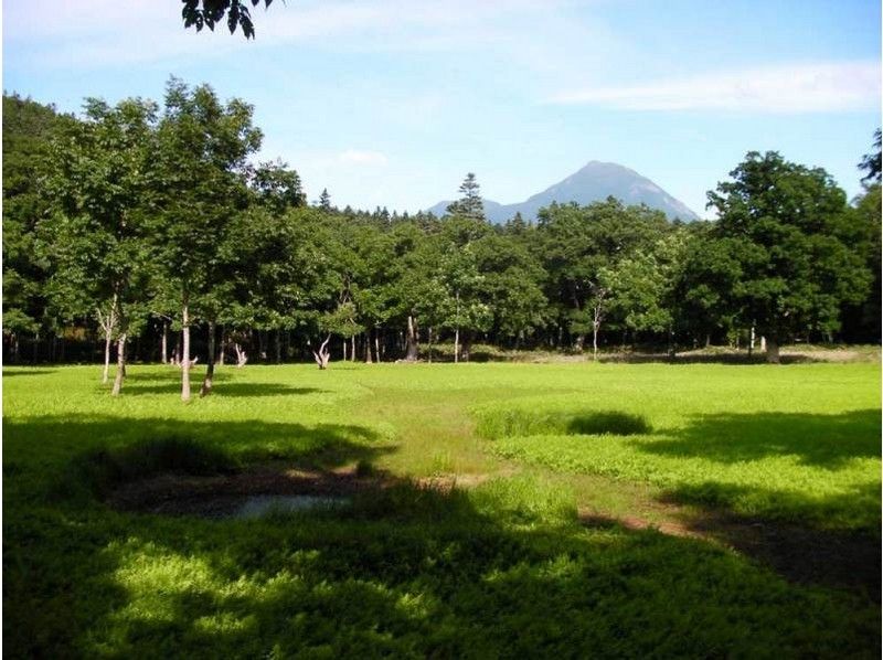 【北海道・知床】☆世界自然遺産 ポンホロの森 散策☆彡