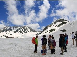 [Toyama/ Tateyama] Trekking private tour! We will guide you with the original plan! (One day trip)の画像