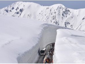 【富山・立山】トレッキング テーマ型募集ツアー 雪の大谷が語る水と氷の物語の画像