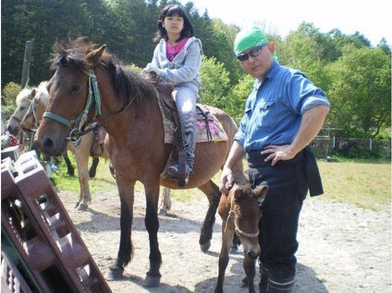【北海道・北広島】乗馬体験（引き馬：馬場内2周）