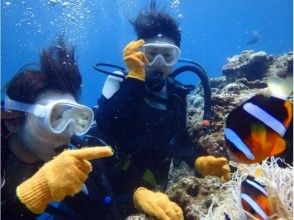 【沖縄/真栄田岬開催/約2.5時間】ボートでラクラク出航!クマノミ体験ダイビングの画像