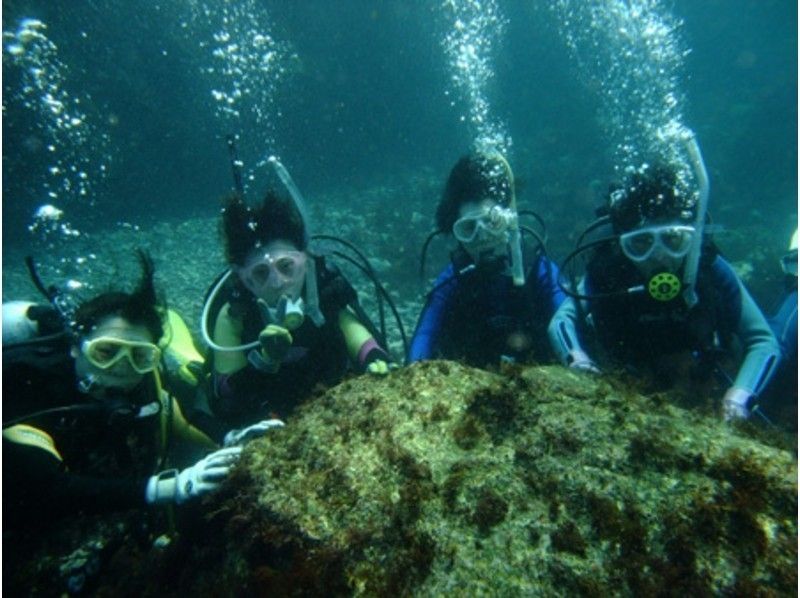 【 东京 ·伊豆大岛】即使是第一次也能享用！体验深潜课程（1次潜水）の紹介画像