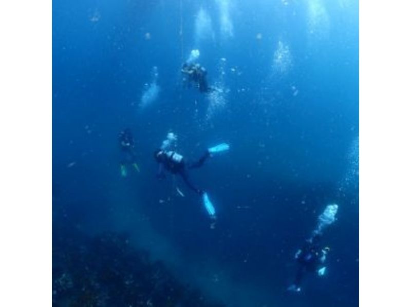 【神奈川・江の島】ライセンス取得!冬季オープンウォーターダイバー・コースの紹介画像