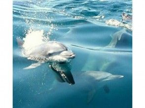 雨の日でもok 熊本のアクティビティ 遊び 体験 レジャーの格安予約 アクティビティジャパン 日帰り旅行