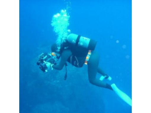 [沖縄·恩納村】你想成為一名水下攝影師嗎？有趣的海灘深潛（1到4次潛水）の画像