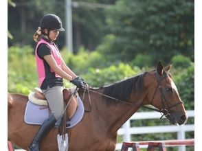 【茨城・守谷】乗馬をより楽しみたい方に!体験乗馬(5回コース)の画像