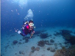 [Nagasaki, Nishiumi] Experience diving ♪ Play on a private boat + snorkeling + underwater scooter ♪の画像