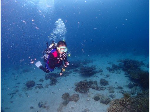 アクアフェイスダイビングスクール(Diving School Aqua Faith)