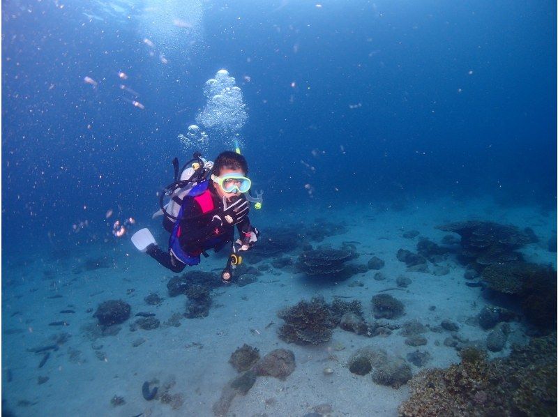 [Nagasaki, Nishiumi] Experience diving ♪ Play on a private boat + snorkeling + underwater scooter ♪