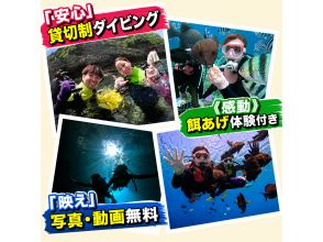 初心者OK‼️安心の貸切制✨青の洞窟&さんごの海ダイビング《入門コース
