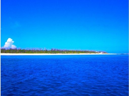 【沖縄・恩納村発】北部、南部、離島 リクエストボートファンダイビング　2Diveの画像