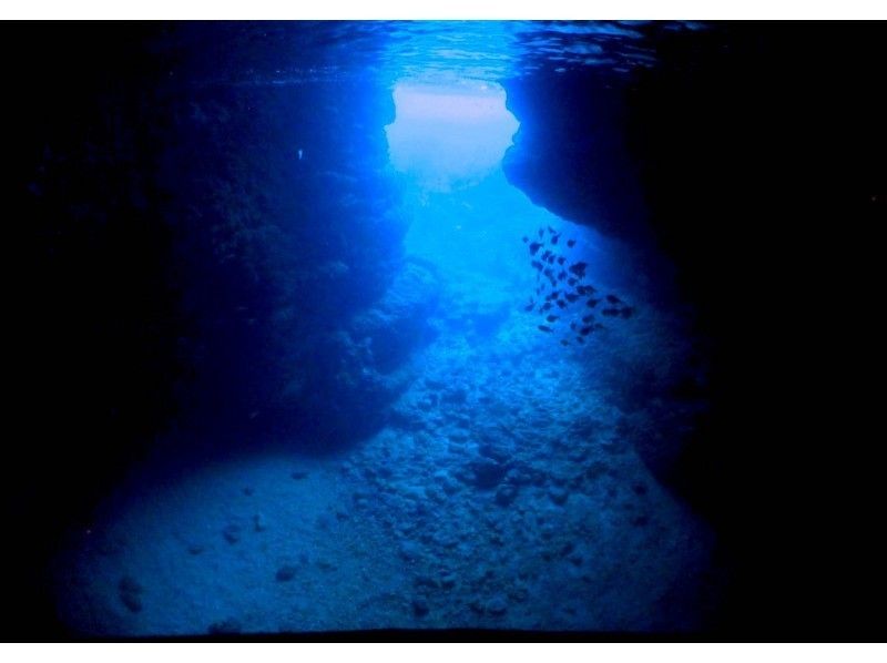 【沖縄・恩納村】大人気！青の洞窟へボートで楽々♪体験ダイビング