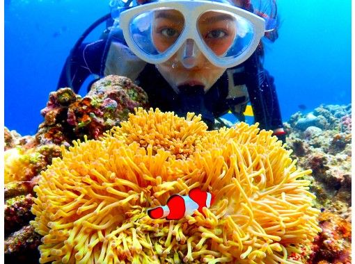 [沖繩恩納]也放鬆安心潛水的第一次！熱帶天堂體驗潛水船の画像