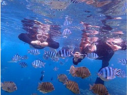 [沖繩恩納]其中也想，如果痛苦的享受！浮潛+體驗潛水課程設置の画像