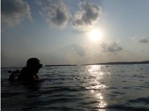 【沖縄・本部町】名所ゴリラチョップを潜る！ビーチファンダイビング