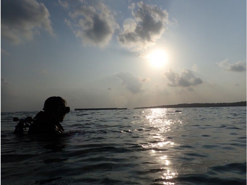 【沖縄・本部町】名所ゴリラチョップを潜る！ビーチファンダイビング