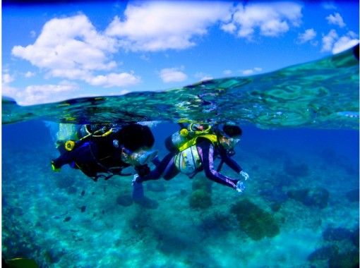 [沖繩恩納]藍色洞穴+熱帶魚的天堂小船經驗潛水W¯¯課程設置の画像