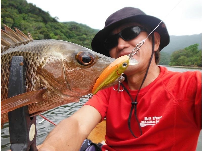 [Okinawa Iriomote-fishing] trying to win three of the river! Mangrove Jack TOP gameの紹介画像