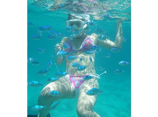[沖縄-石垣島]免費組合！浮潛＆花式滑水板經驗（1天課程，午餐！）の画像