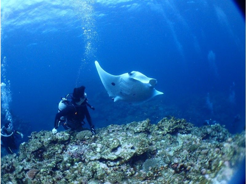 ฉันมีความสุขมากกับครึ่งวัน (AM หรือ PM)! ประสบการณ์แนวปะการังและจุด Mantaดำน้ำ2 วันแน่นอนの紹介画像
