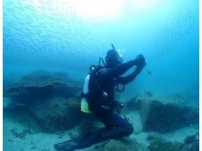[Nagasaki Sasebo / West Sea / Oseto off the coast] fan diving (license owner interest)の画像