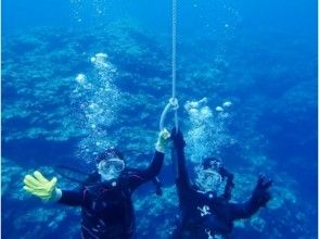 少人数制、初めてでも安心して潜れる、浅場での講習付き！マンタ体験パスポートコース（1日コース）