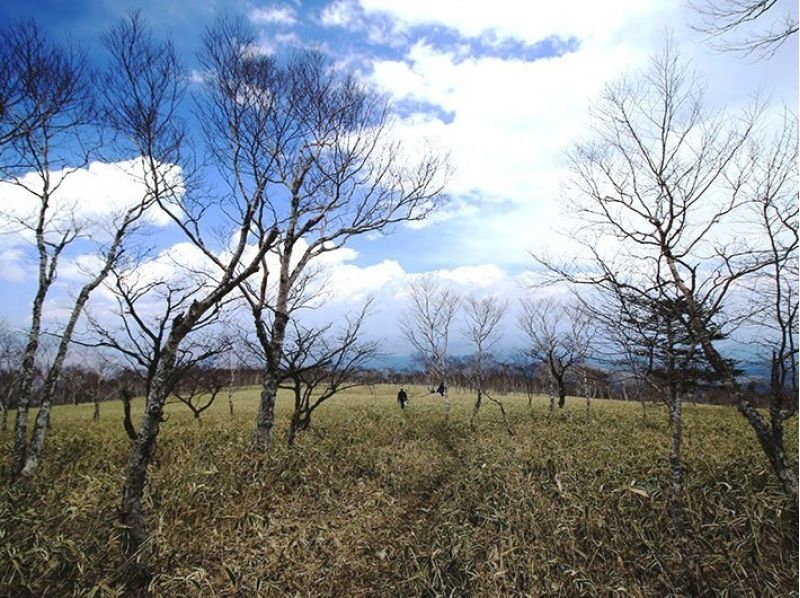 【栃木・日光】初心者歓迎!お得なランチ付きのゆったり丸山トレッキング!の紹介画像