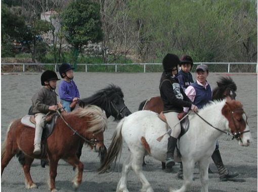 [Gunma, Tonegawa] Pony Club visitor [riding]の画像
