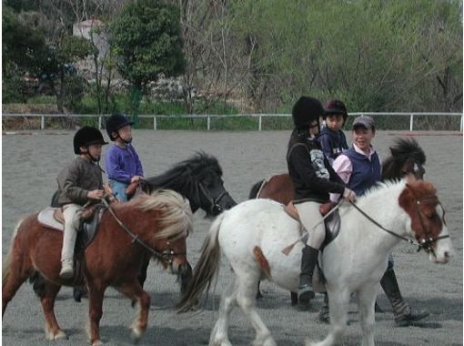 [群馬縣，利根川]小馬俱樂部訪客[騎馬]の画像