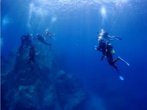 【鹿児島・坊津】透明なブルーの海！秋目湾ボートダイビング