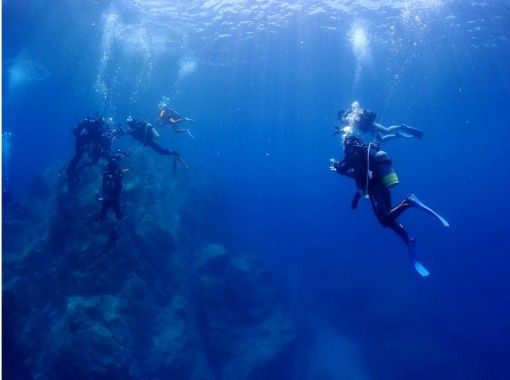 鹿児島 坊津 透明なブルーの海 秋目湾ボートダイビング アクティビティジャパン